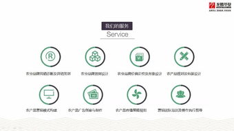 成都農(nóng)業(yè)品牌策劃營銷與產(chǎn)品包裝設計服務